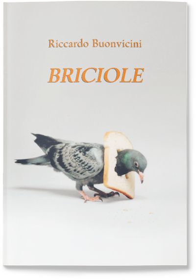 riccardo buovicini libro briciole 1